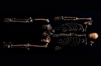 800-Yr-Outdated Story of Man Thrown in Properly Confirmed True by Archaeologists